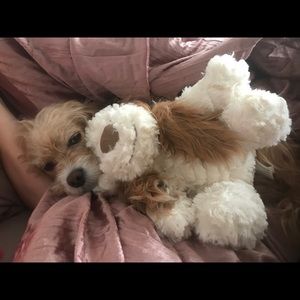 Meet your Posher, Hope